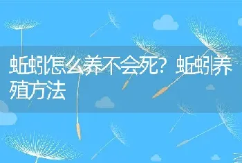 蚯蚓怎么养不会死？蚯蚓养殖方法