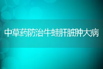 中草药防治牛蛙肝脏肿大病