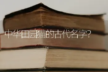 中华田园猫的古代名字？