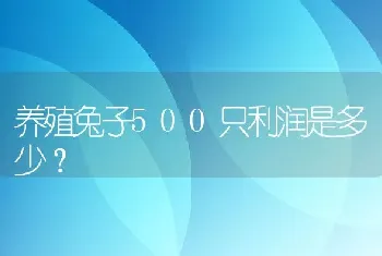 养殖兔子500只利润是多少？