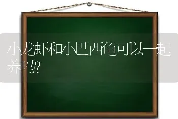 小龙虾和小巴西龟可以一起养吗？