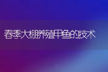 冬季养鱼增效有法