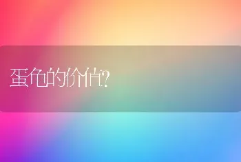 蛋龟的价值？