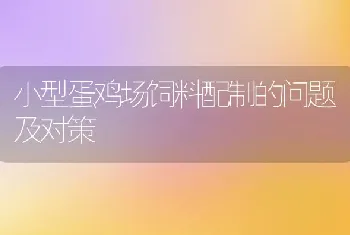 小型蛋鸡场饲料配制的问题及对策