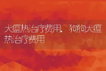 犬瘟热治疗费用，狗狗犬瘟热治疗费用