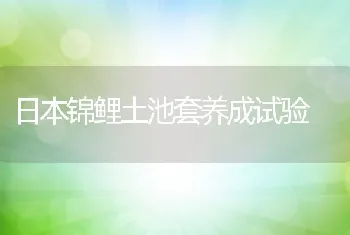 日本锦鲤土池套养成试验