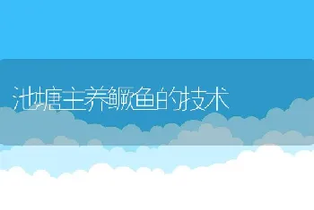 池塘主养鳜鱼的技术