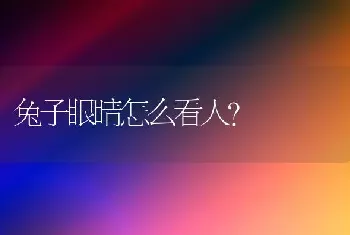 兔子眼睛怎么看人？