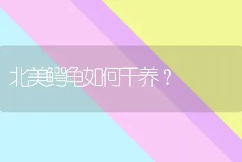 北美鳄龟如何干养？