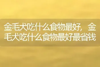 金毛犬吃什么食物最好，金毛犬吃什么食物最好最省钱