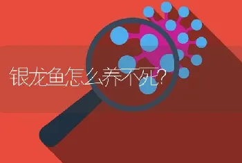 银龙鱼怎么养不死？