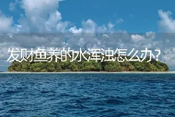 发财鱼养的水浑浊怎么办？