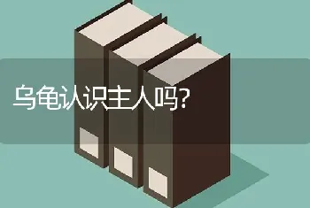 乌龟认识主人吗？