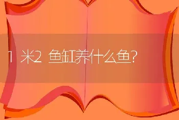 1米2鱼缸养什么鱼？