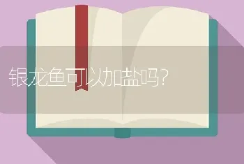 银龙鱼可以加盐吗？