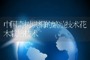 中国奇树珙桐的繁殖技术花木栽培技术