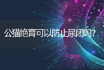 公猫绝育可以防止尿闭吗？