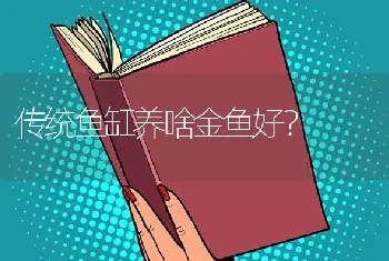 传统鱼缸养啥金鱼好？