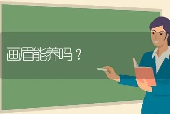 哈士奇智商相当几岁小孩？