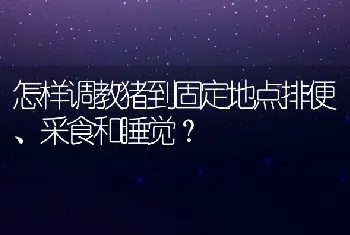 黄鳝的饲料种类与喂养实例