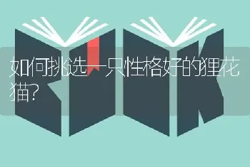 七个月的拉布拉多一天应该喂几次!应该拉几次？