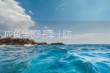 成鱼生长旺季十防