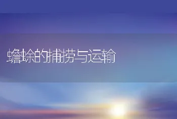 中国林蛙疾病防治（上）