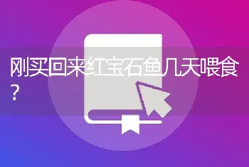 招财鱼吃了一粒土霉素片会导致什么？