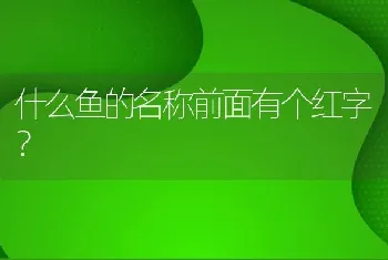 什么鱼的名称前面有个红字？