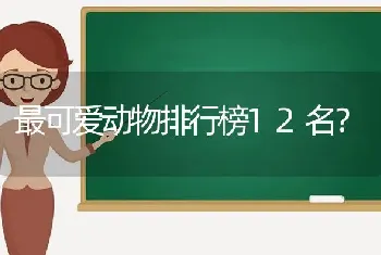 最可爱动物排行榜12名？