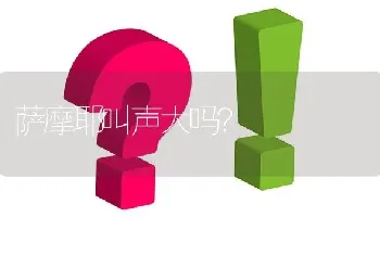 萨摩耶叫声大吗？