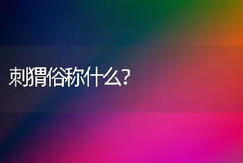 刺猬俗称什么？