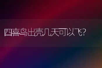 加菲猫狗叫什么名字？