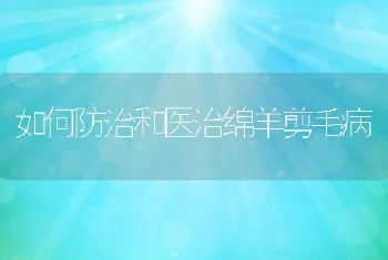 大水面主养罗非鱼技术要点