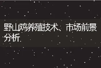 野山鸡养殖技术、市场前景分析