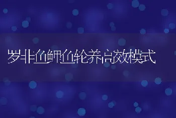 罗非鱼鲤鱼轮养高效模式