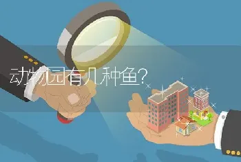 动物园有几种鱼？