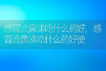 感冒流鼻涕吃什么药好，感冒流鼻涕吃什么药好使