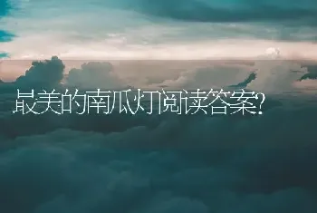 最美的南瓜灯阅读答案？