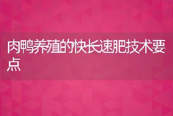 肉鸭养殖的快长速肥技术要点