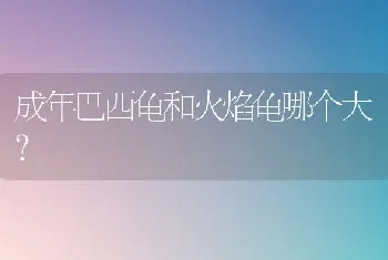 成年巴西龟和火焰龟哪个大？