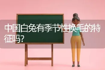 中国白兔有季节性换毛的特征吗？