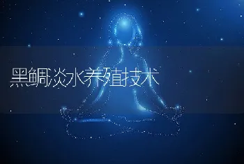 宝石石斑鱼的网箱养殖技术