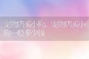 拉肚子应该吃什么，拉肚子应该吃什么主食