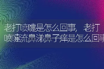 老打喷嚏是怎么回事，老打喷嚏流鼻涕鼻子痒是怎么回事