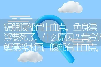 锦鲤腹部有出血点，鱼身漂浮要死了，什么原因？黄金锦鲤漂浮水面