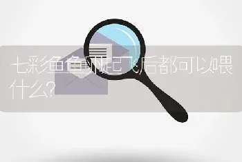 七彩鱼鱼卵起飞后都可以喂什么？