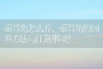 垂耳兔怎么养。垂耳兔的饲养方法与注意事项？