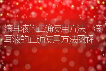 滴耳液的正确使用方法，滴耳液的正确使用方法图解