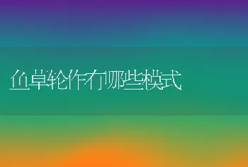 治疗獭兔疾病的方法